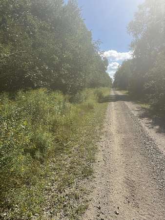 36 Acres of Recreational & Residential Land for Sale in Harrington, Maine