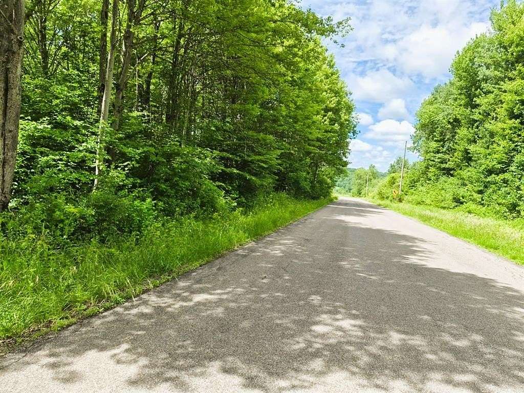 10 Acres of Recreational & Residential Land for Sale in Cincinnatus, New York