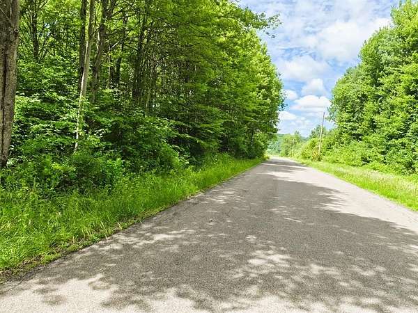 10 Acres of Recreational & Residential Land for Sale in Cincinnatus, New York