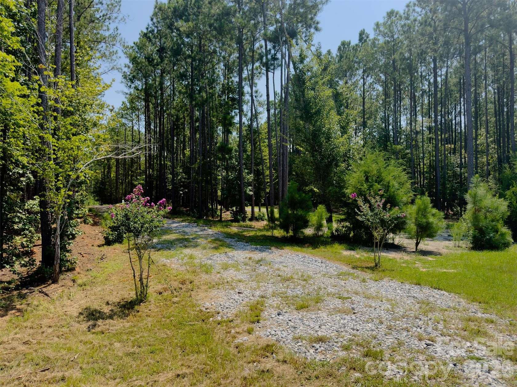 1.68 Acres of Residential Land for Sale in Blair, South Carolina