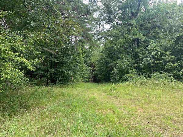 120 Acres of Recreational Land for Auction in Fountain Hill, Arkansas
