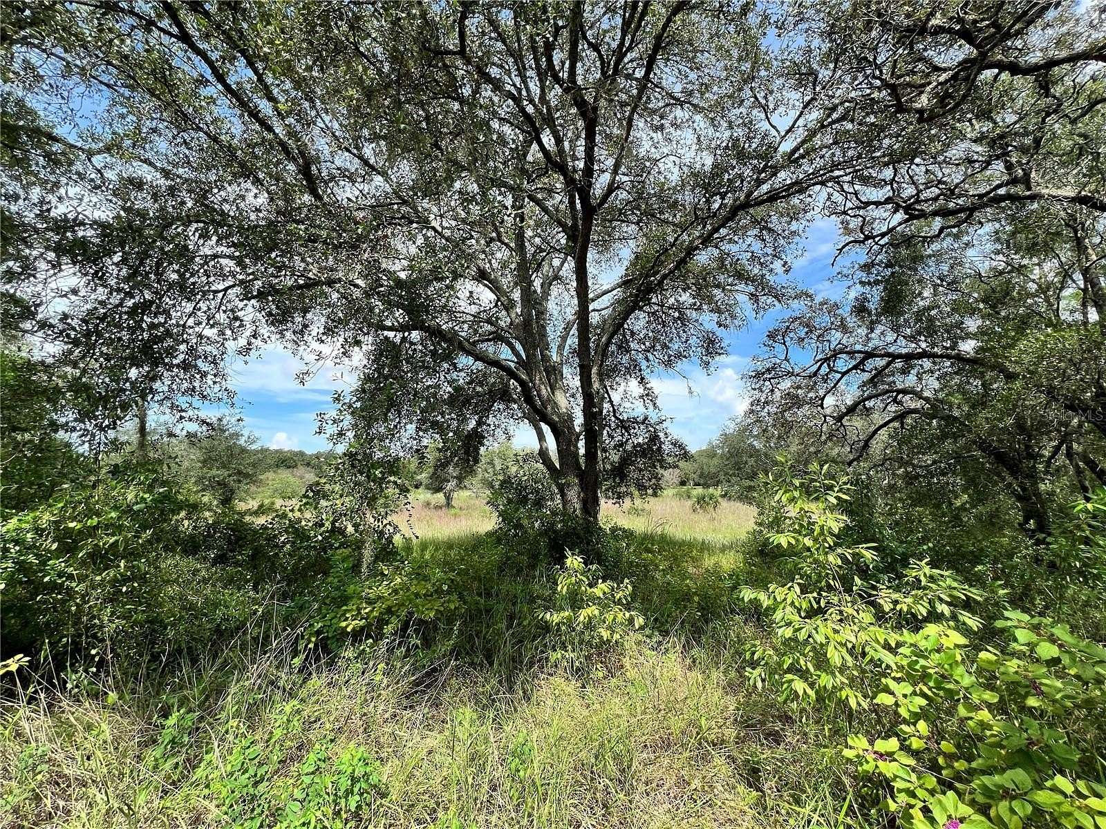 5.17 Acres of Land for Sale in Hudson, Florida