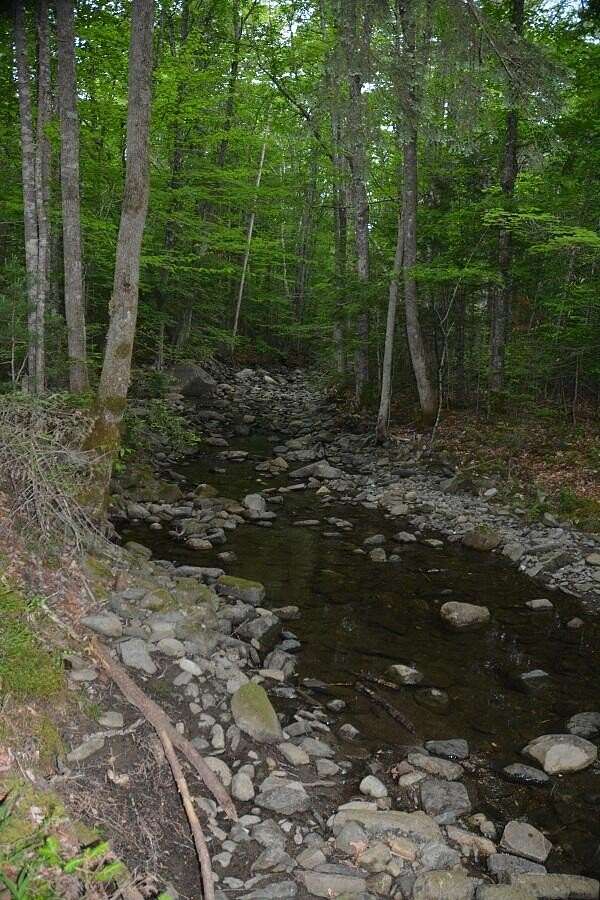 10 Acres of Recreational & Residential Land for Sale in Moscow, Maine