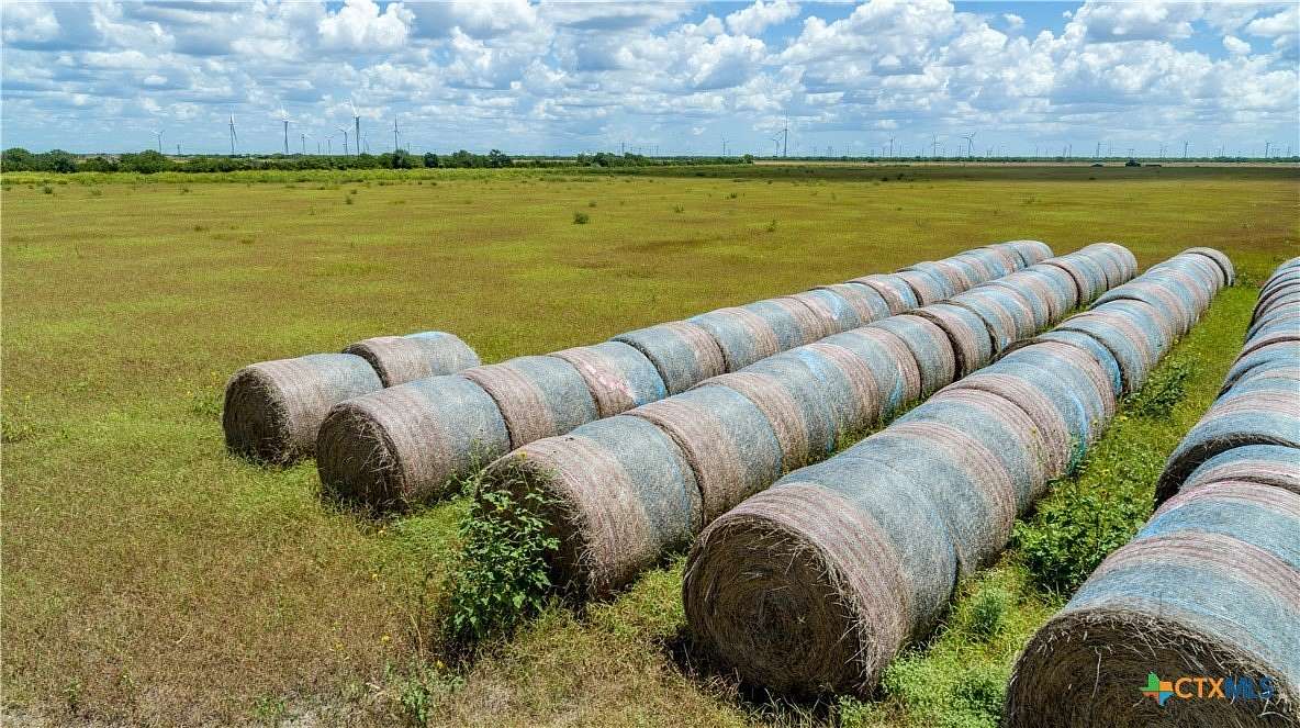 40 Acres of Agricultural & Residential Land for Sale in Mathis, Texas