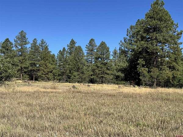 3 Acres of Land for Sale in Pagosa Springs, Colorado