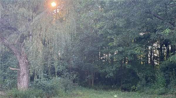 1.9 Acres of Residential Land for Sale in Wales Center, New York