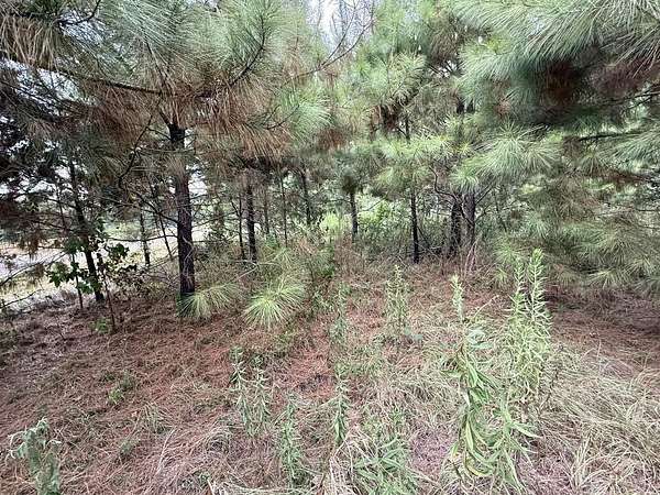 0.29 Acres of Residential Land for Sale in Hemphill, Texas