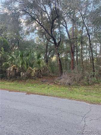 0.22 Acres of Residential Land for Sale in Inverness, Florida