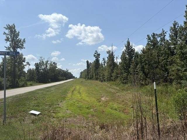 80 Acres of Recreational Land for Sale in Altha, Florida