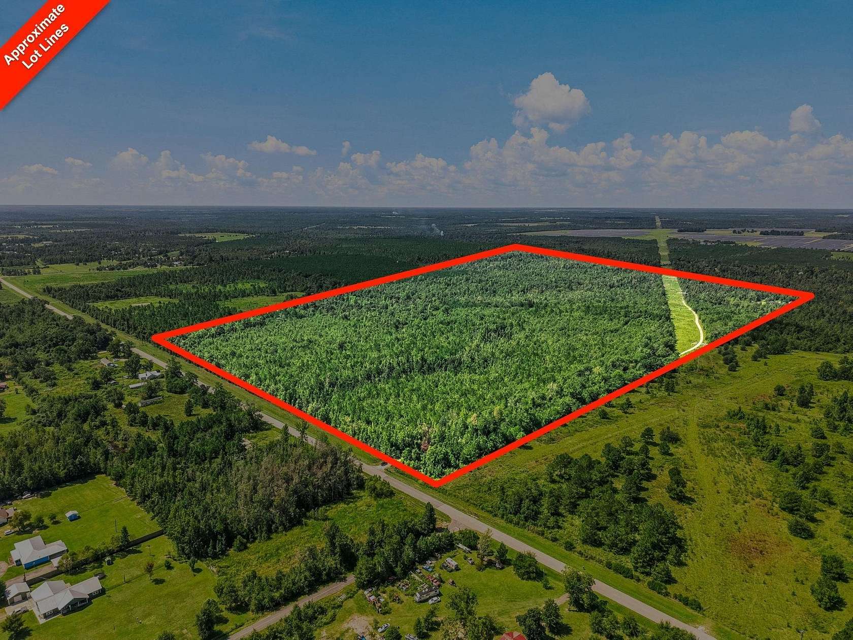 80 Acres of Recreational Land for Sale in Altha, Florida
