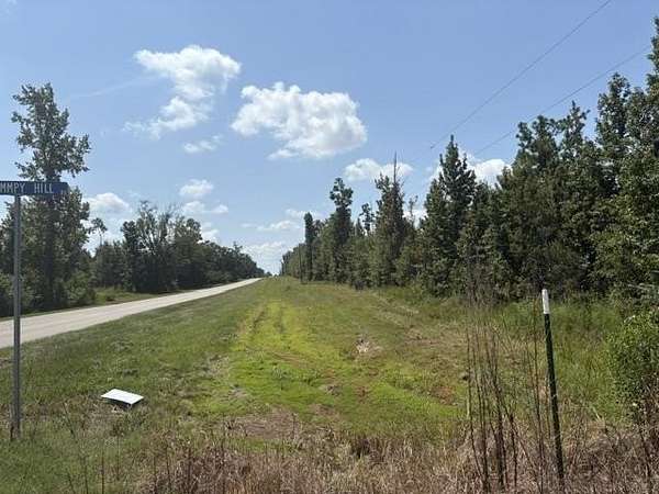 80 Acres of Recreational Land for Sale in Altha, Florida