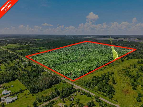 80 Acres of Recreational Land for Sale in Altha, Florida