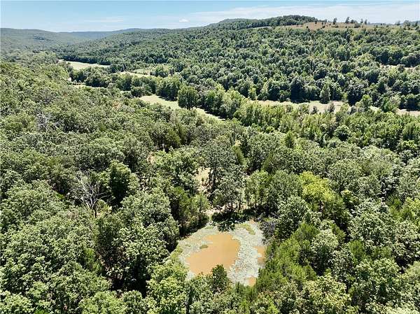 80 Acres of Recreational & Residential Land for Sale in Witter, Arkansas
