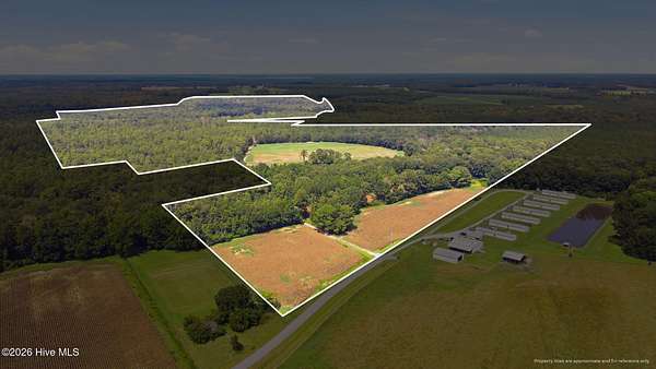 234 Acres of Recreational & Residential Land for Sale in Trenton, North Carolina
