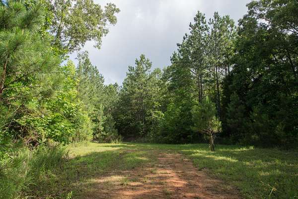 509 Acres of Land for Sale in Sugar Tree, Tennessee