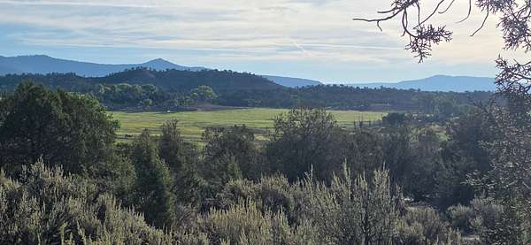 37.9 Acres of Recreational & Residential Land for Sale in Ignacio, Colorado