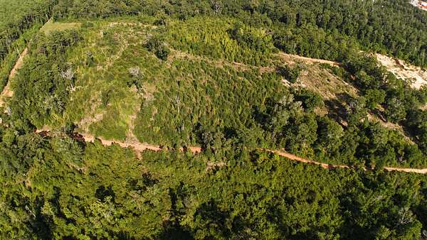 40 Acres of Land for Sale in Jackson, Alabama