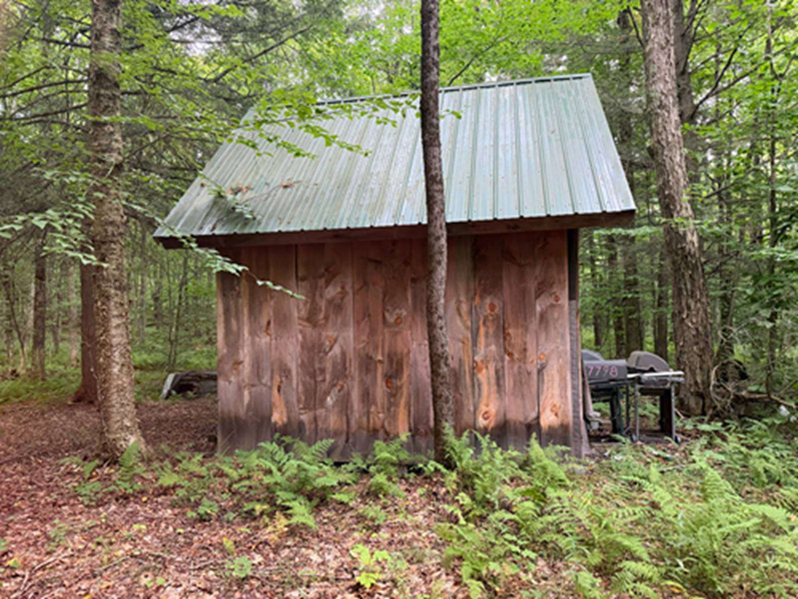 5 Acres of Land for Sale in Diana Town, New York