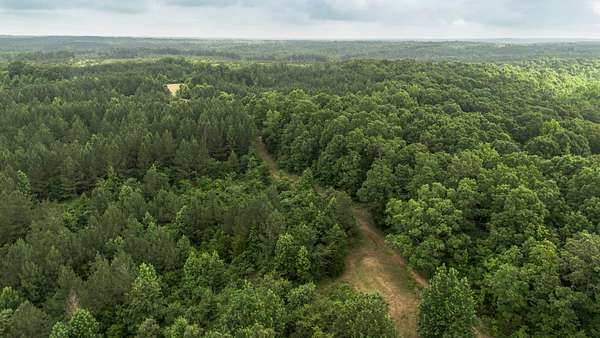 818 Acres of Recreational Land for Sale in Cedar Grove, Tennessee