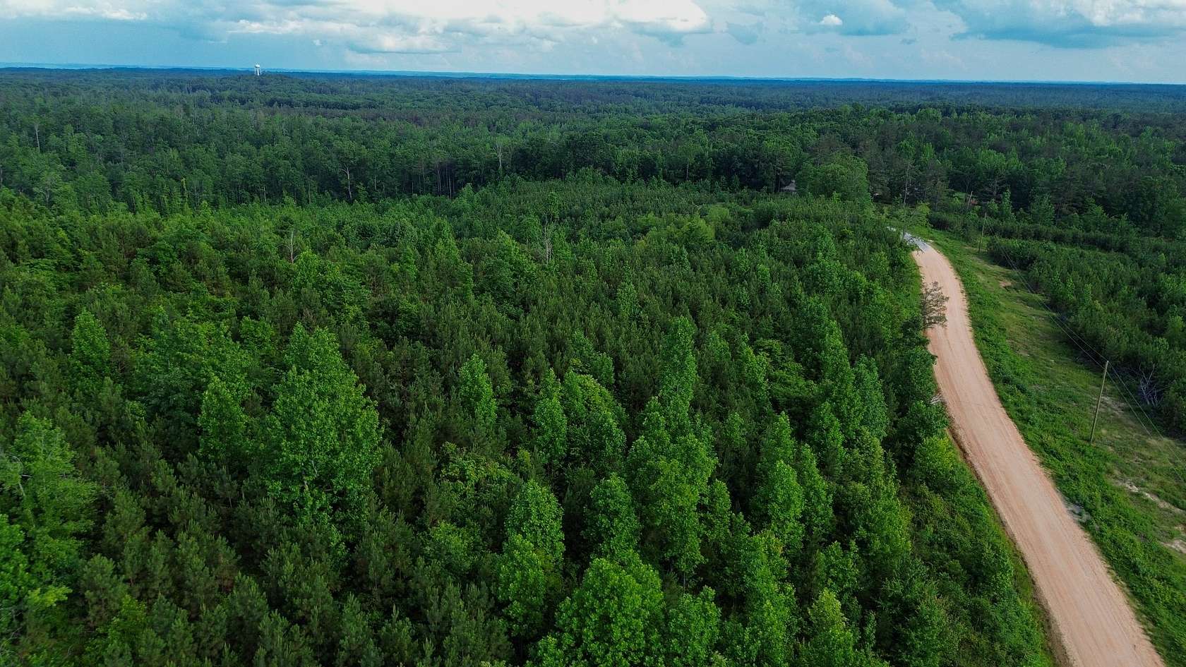 51 Acres of Land for Sale in Bath Springs, Tennessee