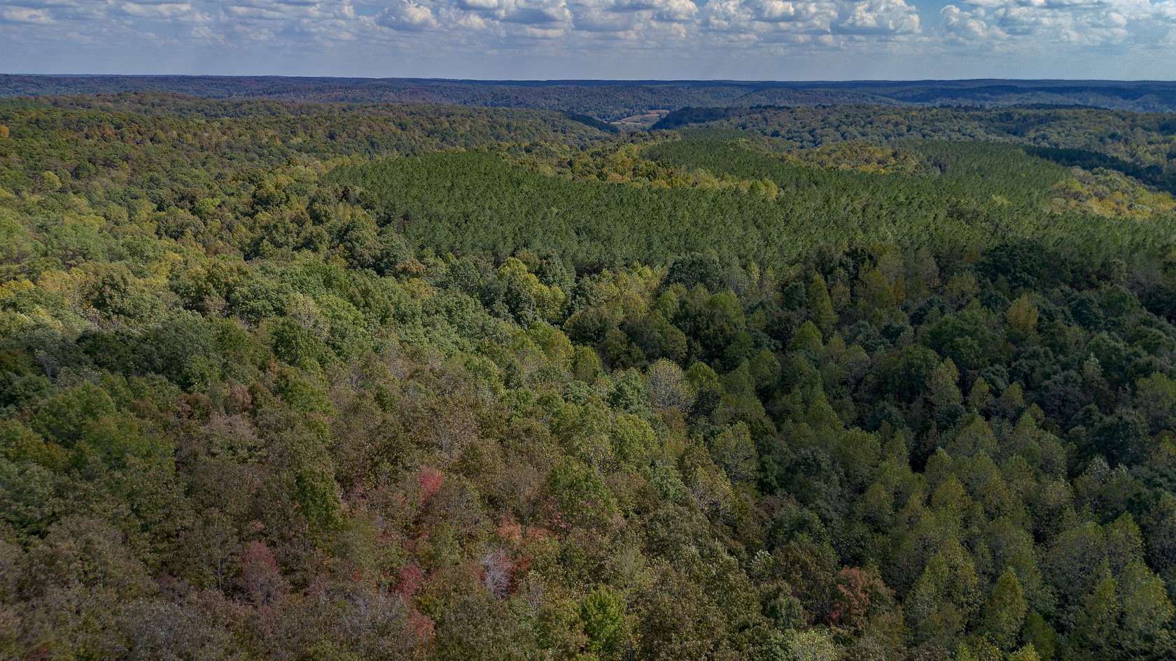 1,419 Acres of Recreational Land for Sale in Centerville, Tennessee