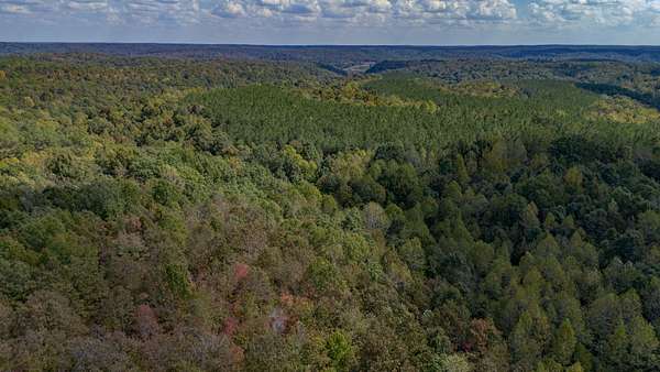 1,419 Acres of Recreational Land for Sale in Centerville, Tennessee