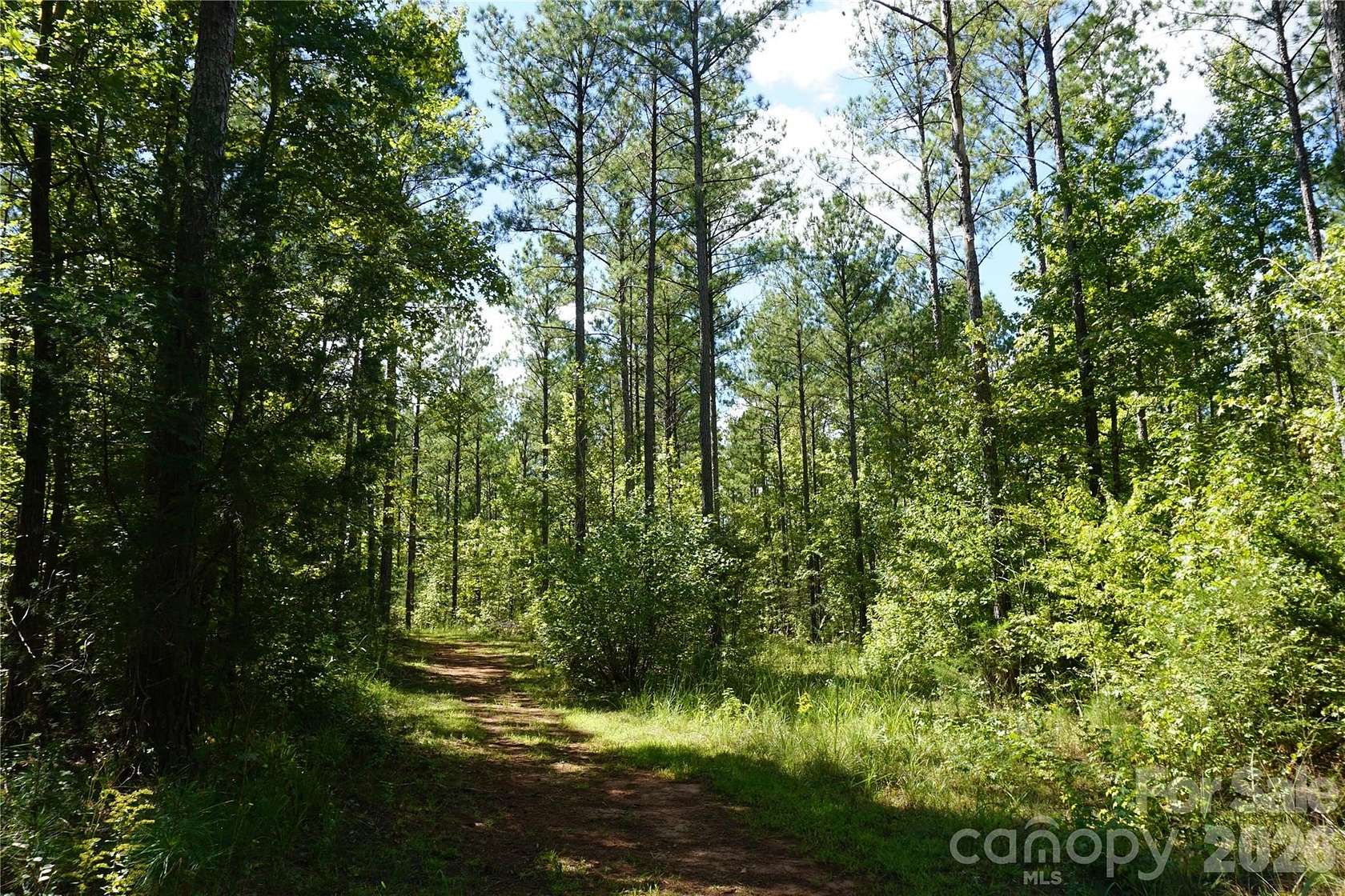 15 Acres of Land for Sale in McConnells, South Carolina