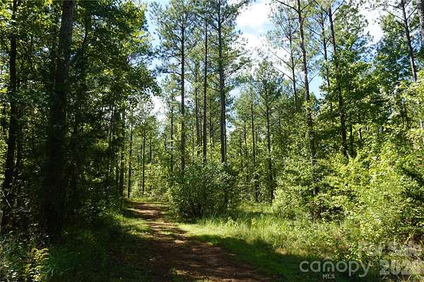 15 Acres of Land for Sale in McConnells, South Carolina