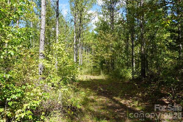 12 Acres of Land for Sale in McConnells, South Carolina