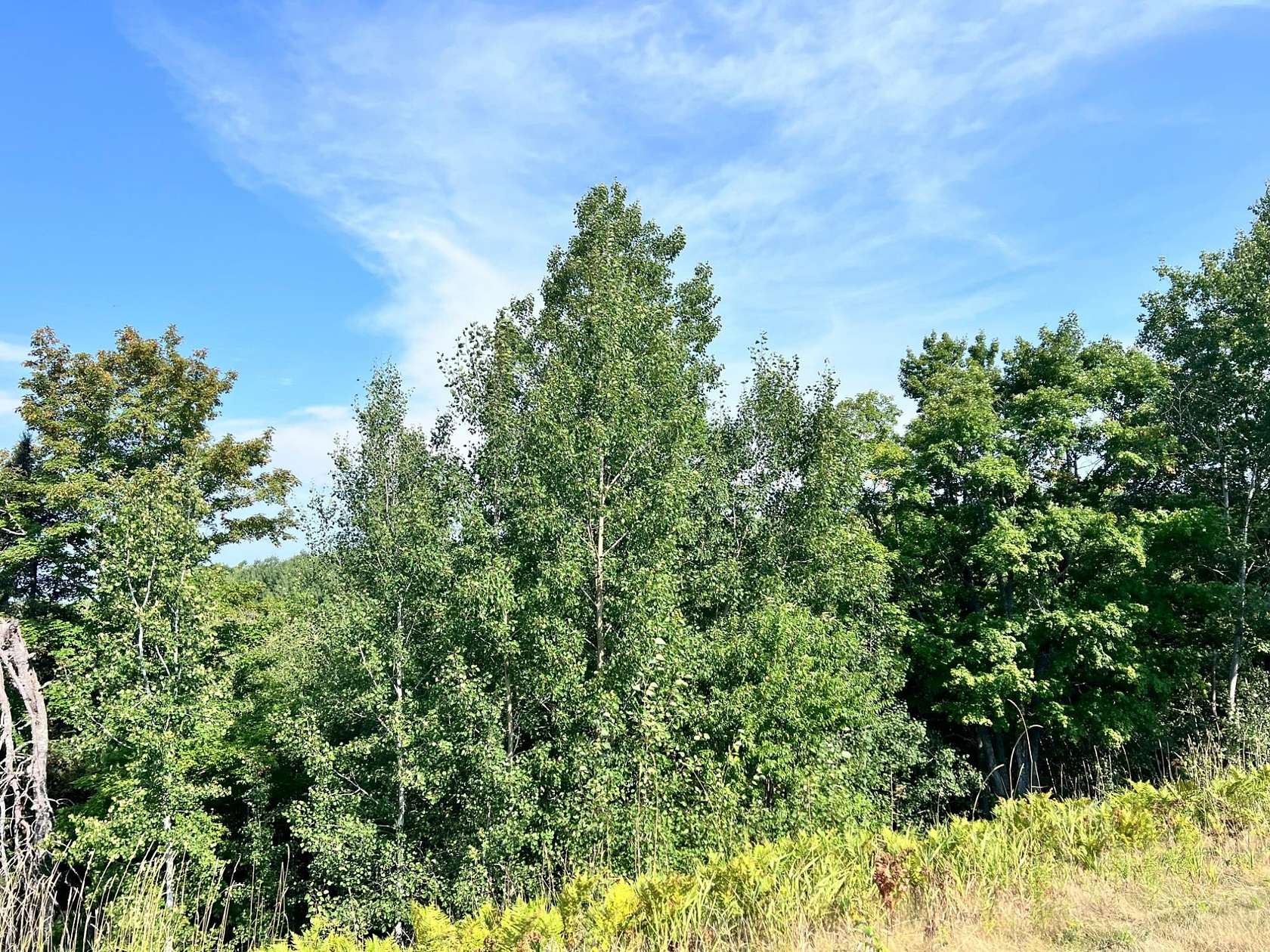 13.2 Acres of Recreational Land for Sale in Phelps, Wisconsin