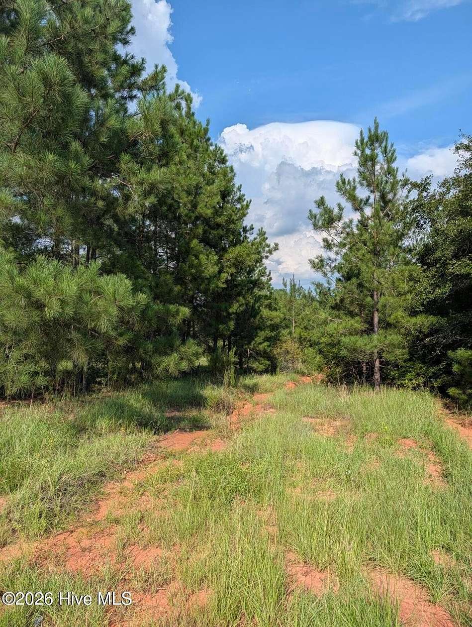1.13 Acres of Residential Land for Sale in Louisville, Georgia