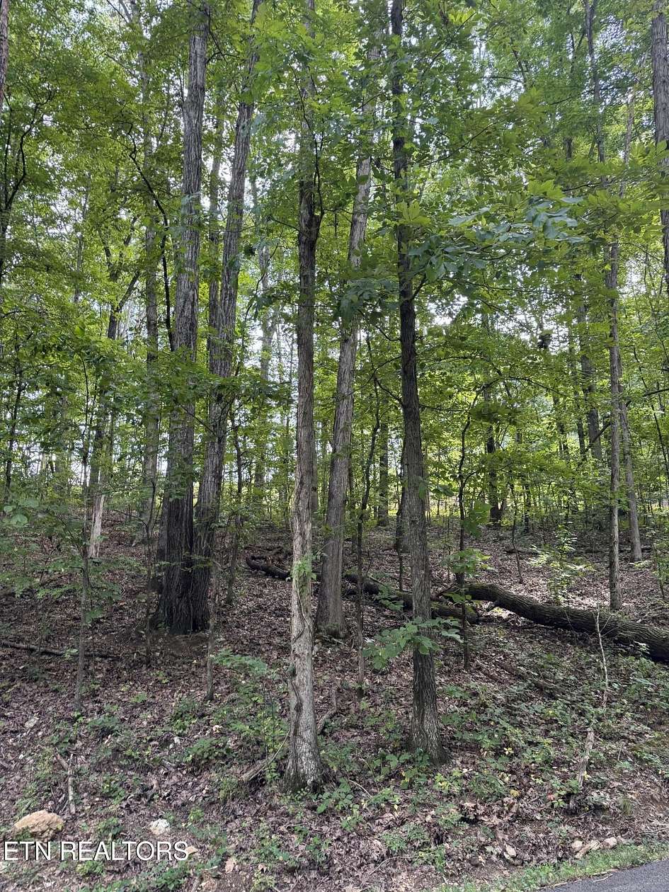 1 Acre of Residential Land for Sale in Philadelphia, Tennessee