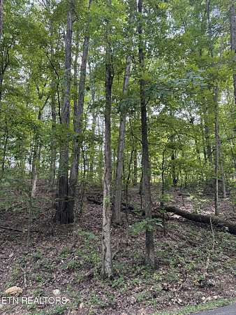 1 Acre of Residential Land for Sale in Philadelphia, Tennessee