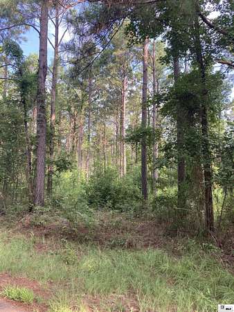 80 Acres of Recreational & Residential Land for Sale in Arcadia, Louisiana