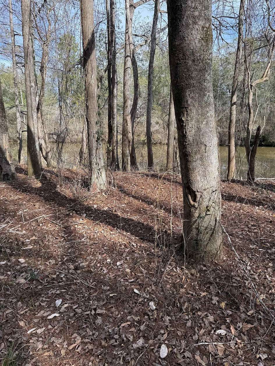 0.7 Acres of Residential Land for Sale in Andalusia, Alabama