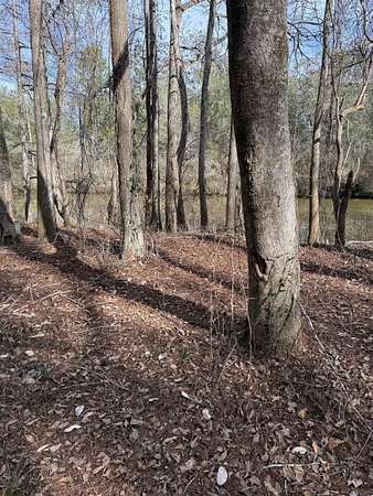 0.7 Acres of Residential Land for Sale in Andalusia, Alabama