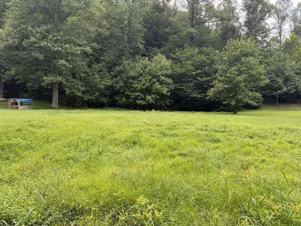 36 Acres of Land for Sale in Sitka, Kentucky