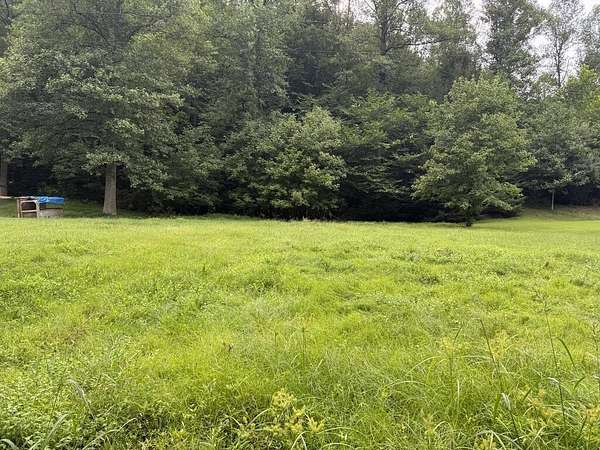 36 Acres of Land for Sale in Sitka, Kentucky