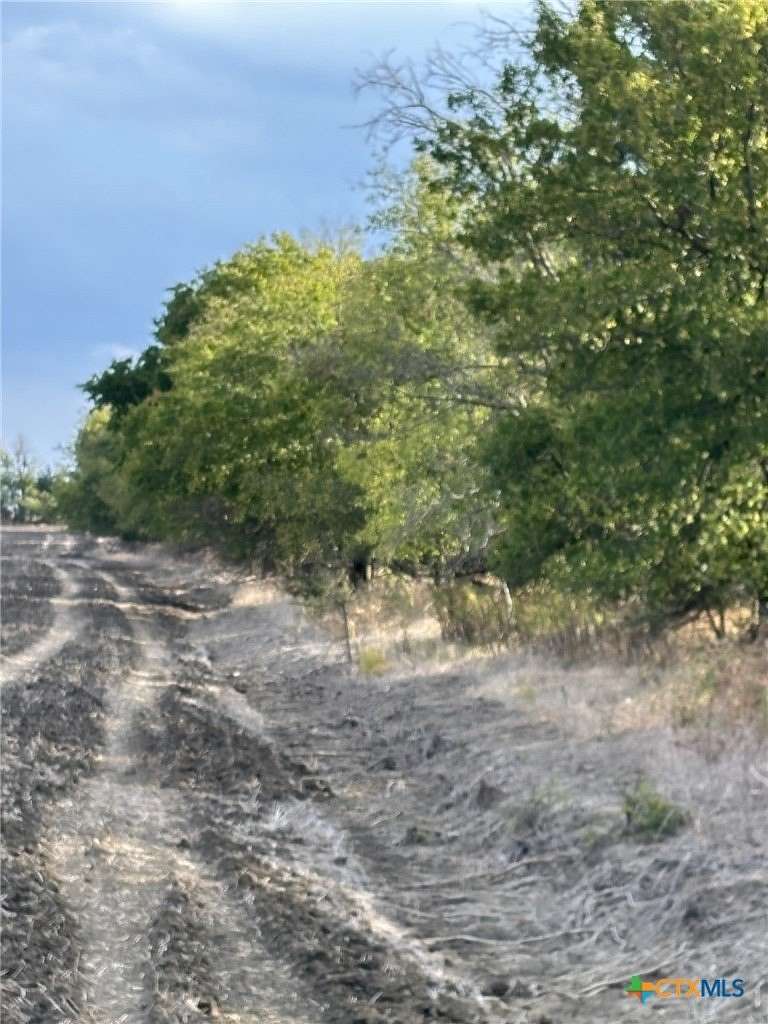 41 Acres of Land for Sale in Lott, Texas