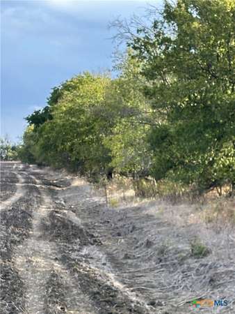 41 Acres of Land for Sale in Lott, Texas