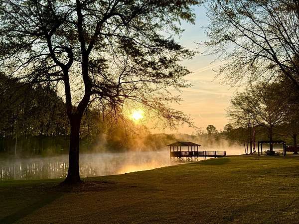 483 Acres of Land with Home for Sale in Jasper, Alabama