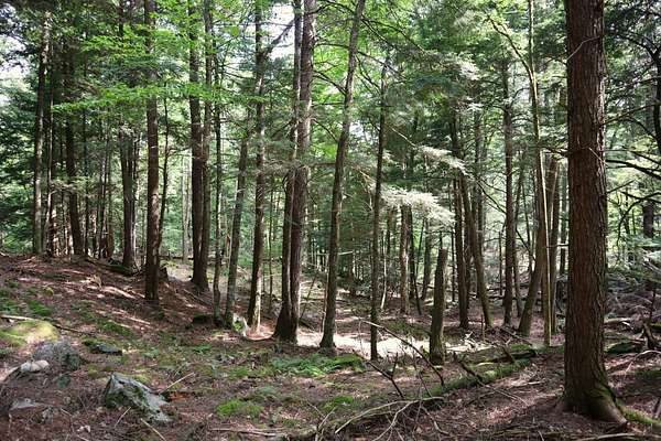 34.4 Acres of Recreational & Residential Land for Sale in Thurman, New York