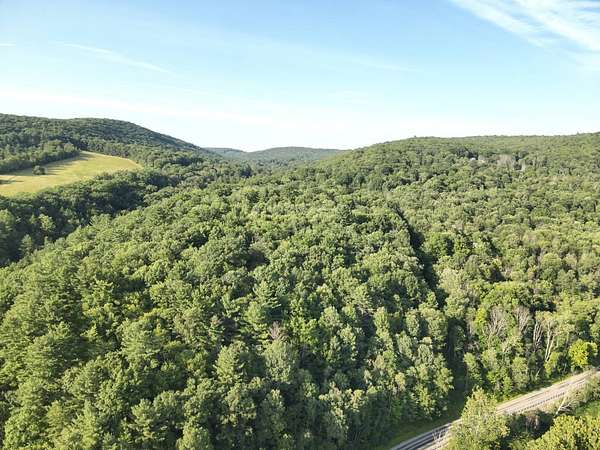 75.1 Acres of Recreational Land for Sale in Susquehanna, Pennsylvania