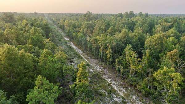 9.56 Acres of Land for Sale in Williston, South Carolina