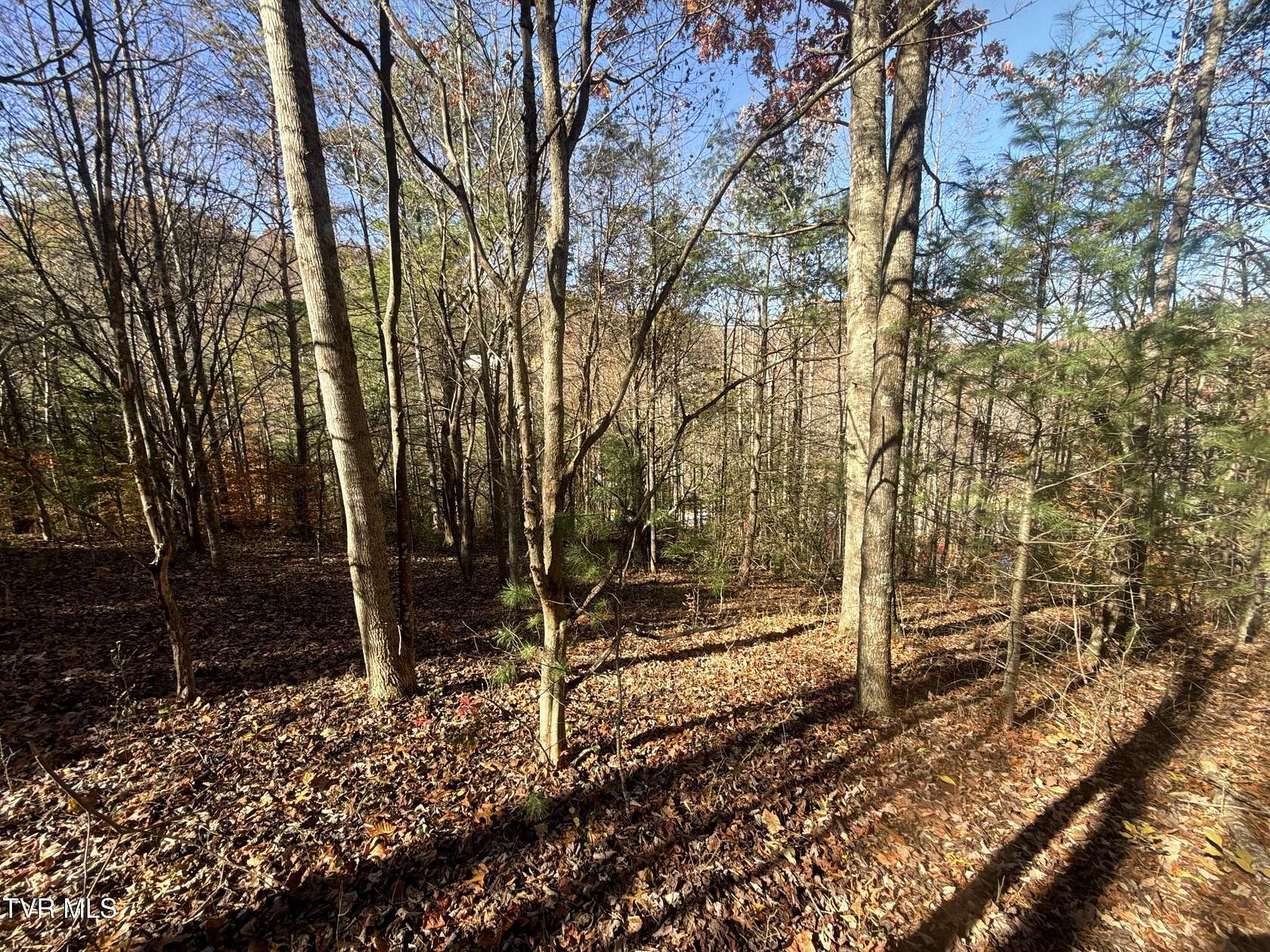 11.5 Acres of Recreational & Residential Land for Sale in Hampton, Tennessee