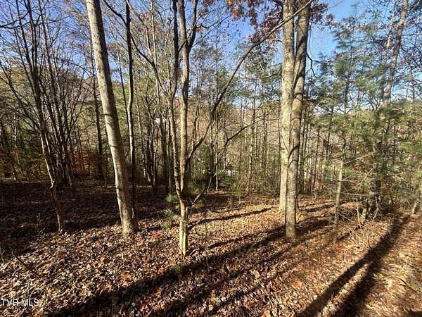 11.5 Acres of Recreational & Residential Land for Sale in Hampton, Tennessee