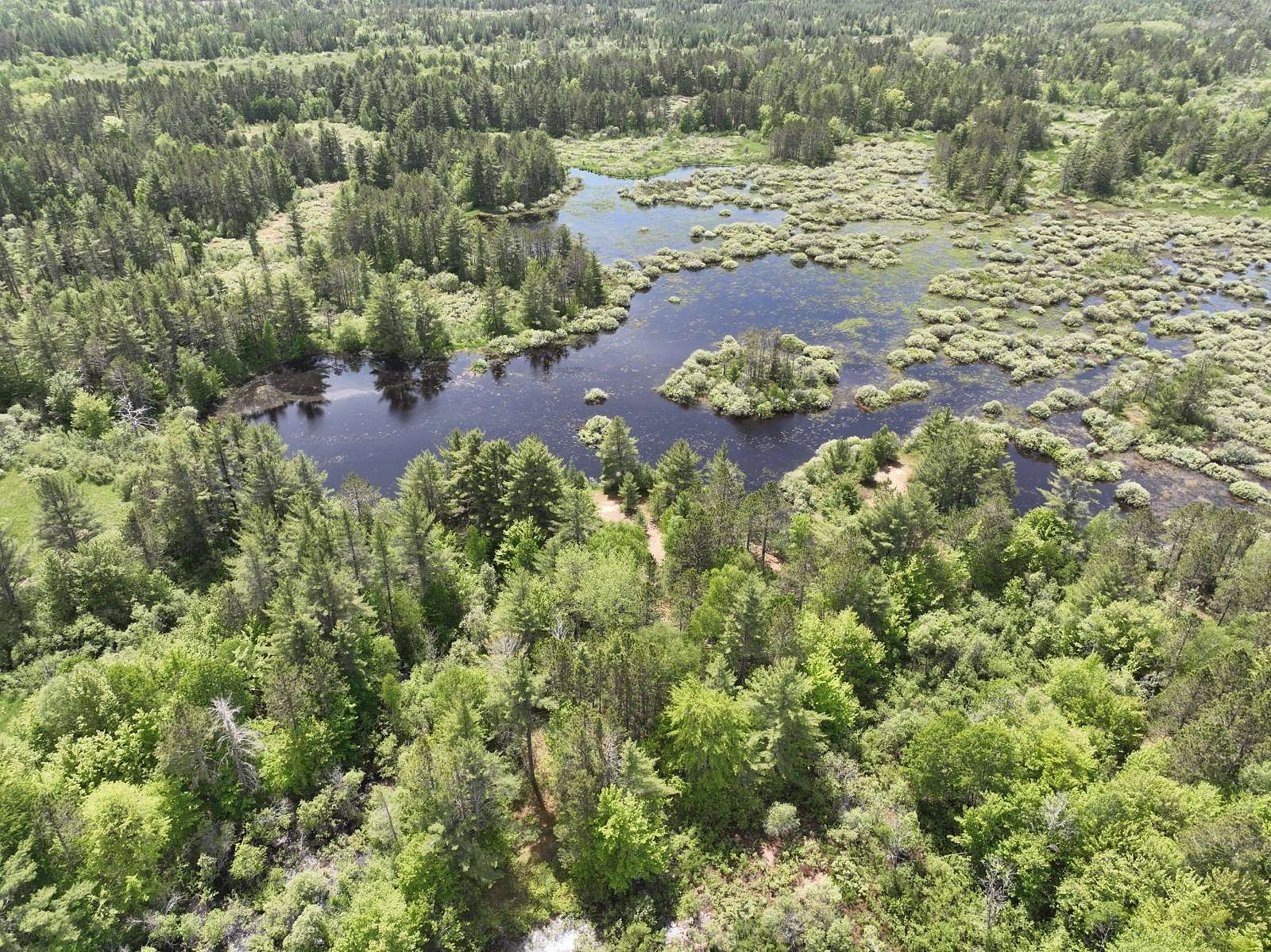 560 Acres of Recreational Land for Sale in Seney, Michigan