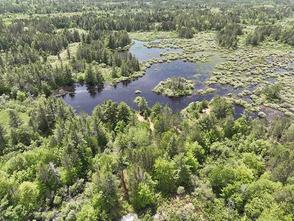 560 Acres of Recreational Land for Sale in Seney, Michigan