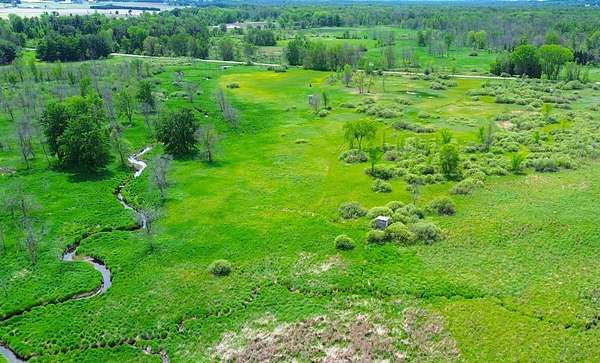 40 Acres of Land for Sale in New London, Wisconsin