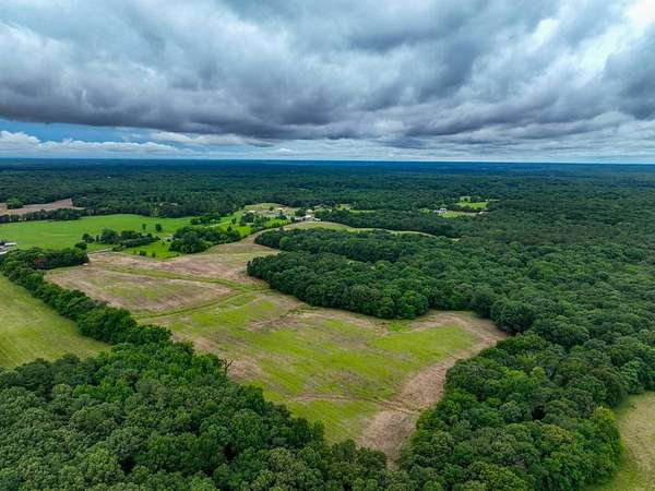 84 Acres of Land for Sale in New Concord, Kentucky